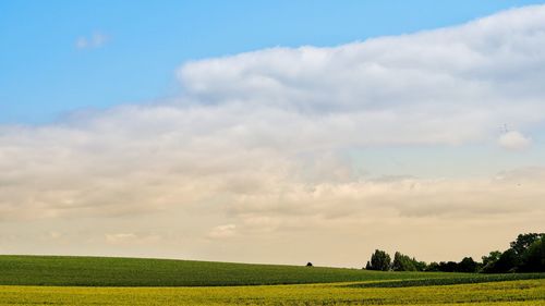 Scenic view of field against sky