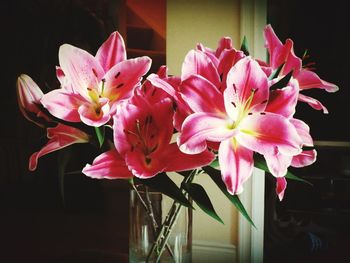 Close-up of flowers