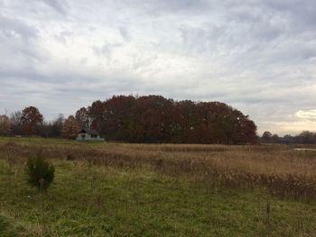 Scenic view of field against sky