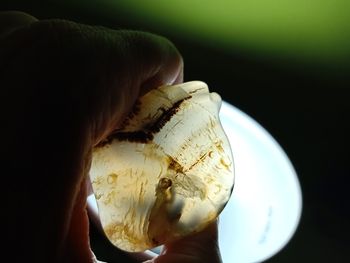 Close-up of hand holding ice cream