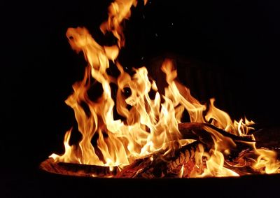 Close-up of bonfire at night