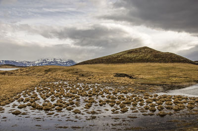 Landscape in the myvatn region in iceland, with clumps of grass in shallow ponds