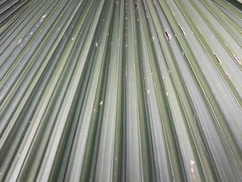 Full frame shot of palm leaves