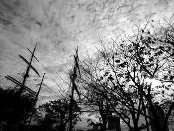 Low angle view of trees against sky during sunset