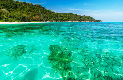 Scenic view of sea against sky