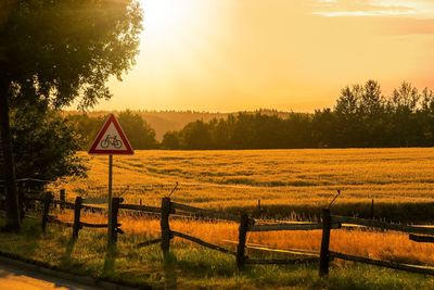 Scenic view of field against sky during sunset