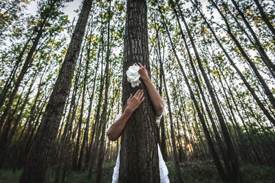 Low angle view of woman standing behind and hugging tree trunk in forest