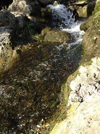 High angle view of water flowing through rocks