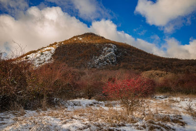 Scenic view of snow covered field against sky