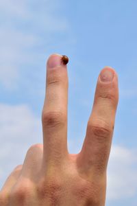 Close-up of ladybug on finger against sky