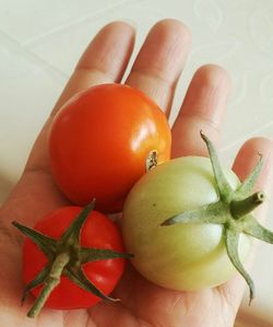 Close-up of hand holding fruit