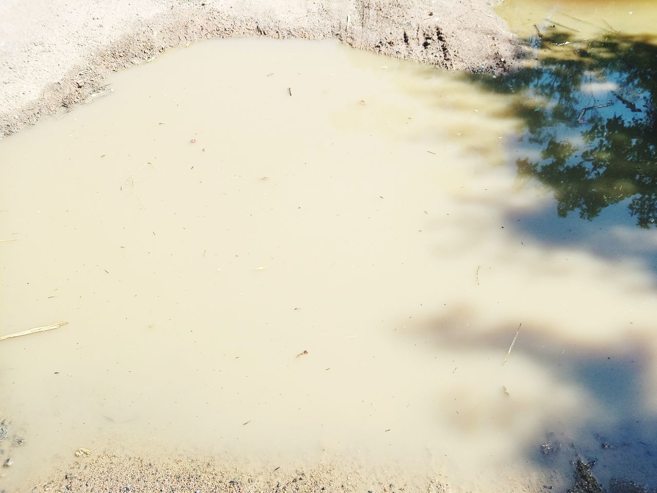 REFLECTION OF SKY ON PUDDLE IN LAKE