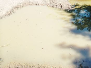 Reflection of sky in puddle on lake