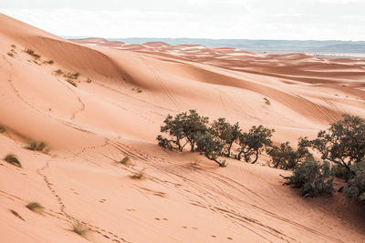 Scenic view of desert against sky