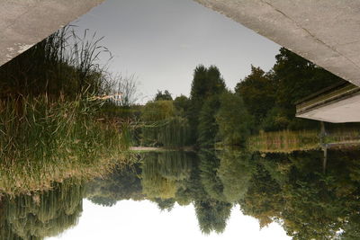 Reflection of trees in calm lake against sky