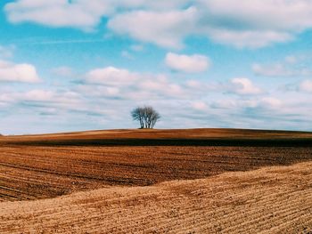 Scenic view of field against sky