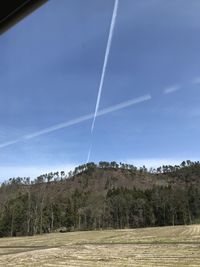 Trees on field against sky