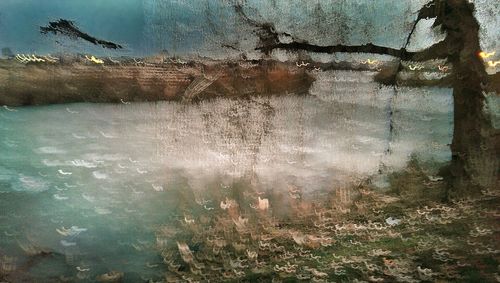 Close-up of water on tree against sky