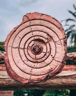 Close-up of damaged tree against sky