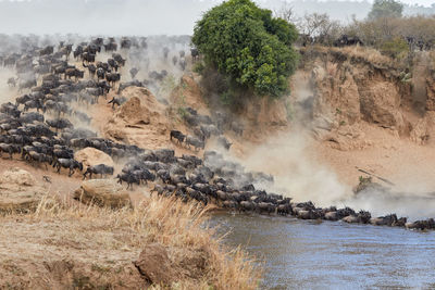 Scenic view of waterfall