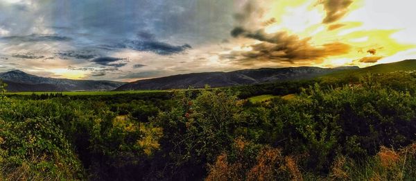 Scenic view of field against cloudy sky