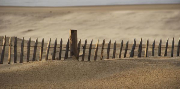 Wooden posts on sand at beach against sky