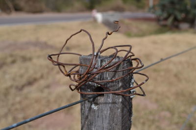 Close-up of barbed wire on wooden post
