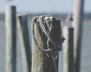 Close-up of rope on wooden post