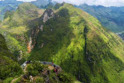 High angle view of trees on mountain