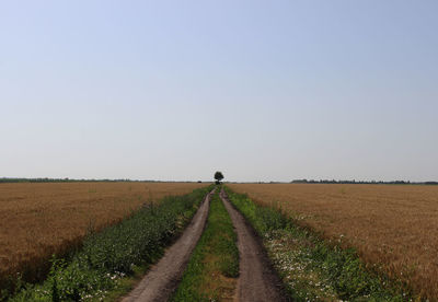 Agricultural field against sky