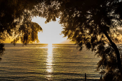 Reflection of trees in sea at sunset