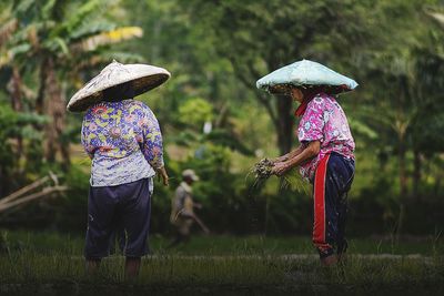 Rear view of people working in water