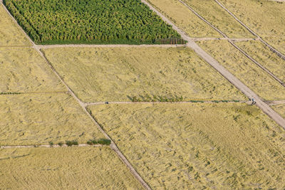 Full frame shot of agricultural field