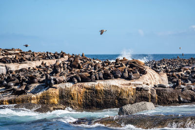 Panoramic view of sea and rocks