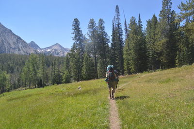 Rear view of women walking on dirt trail