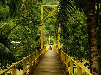 Footbridge amidst trees in forest