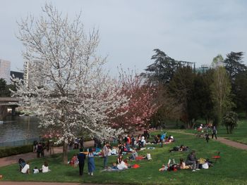 People relaxing in park