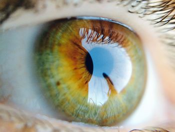 Close-up of human eye