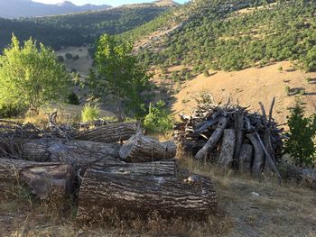 Scenic view of tree mountains against sky