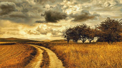 Scenic view of field against cloudy sky