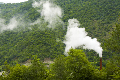 Industrial pollution, smog and fog, large smoke pipe, toxic air. clouds with pollution and forest