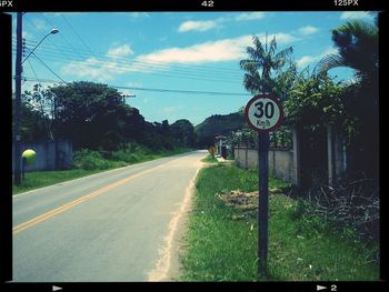 Road along trees