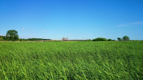 Scenic view of field against cloudy sky