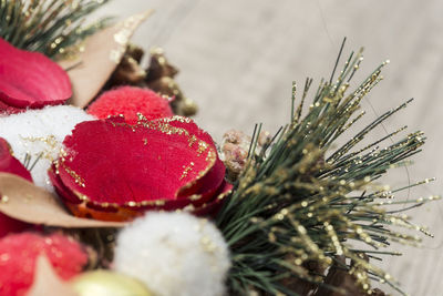 Close-up of christmas decorations on plant