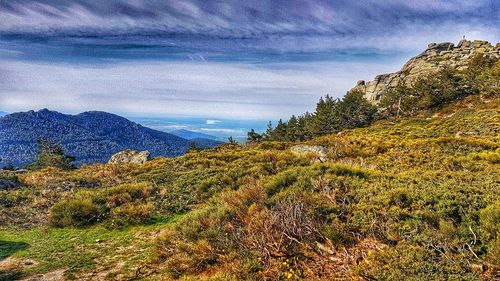 Scenic view of landscape against sky