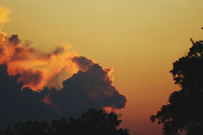 Low angle view of silhouette trees against sky during sunset