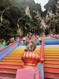 Man sitting on staircase at temple