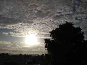 Low angle view of silhouette trees against sky during sunset