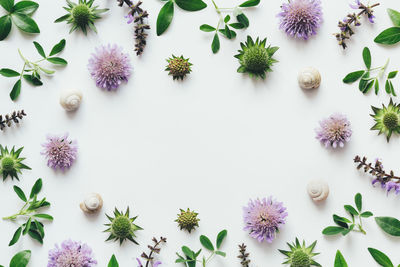 High angle view of flowers on table