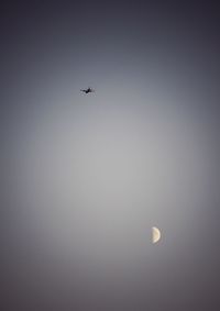 Low angle view of airplane flying in sky